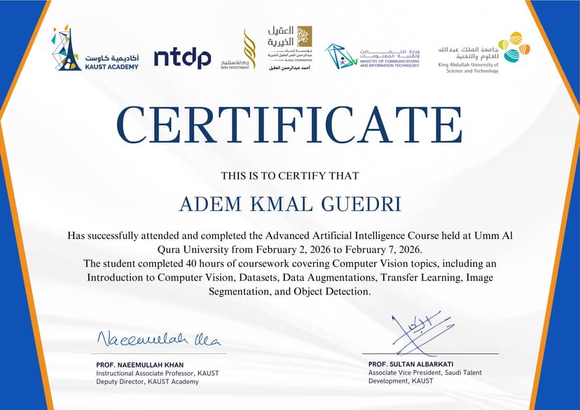 Advanced Artificial Intelligence certificate